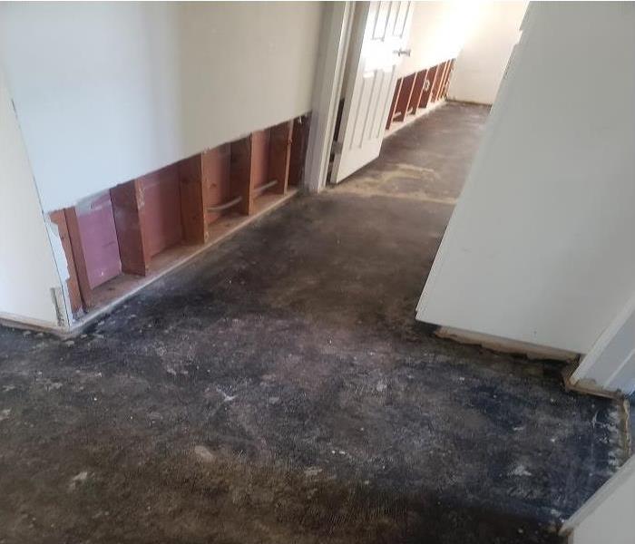 Removed carpet and drywall