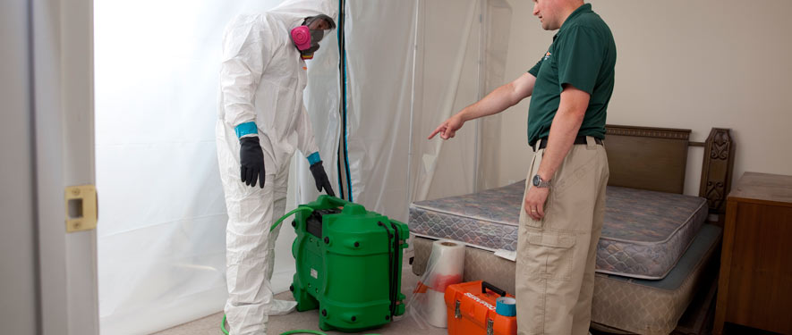 Monterey Park, CA mold removal process